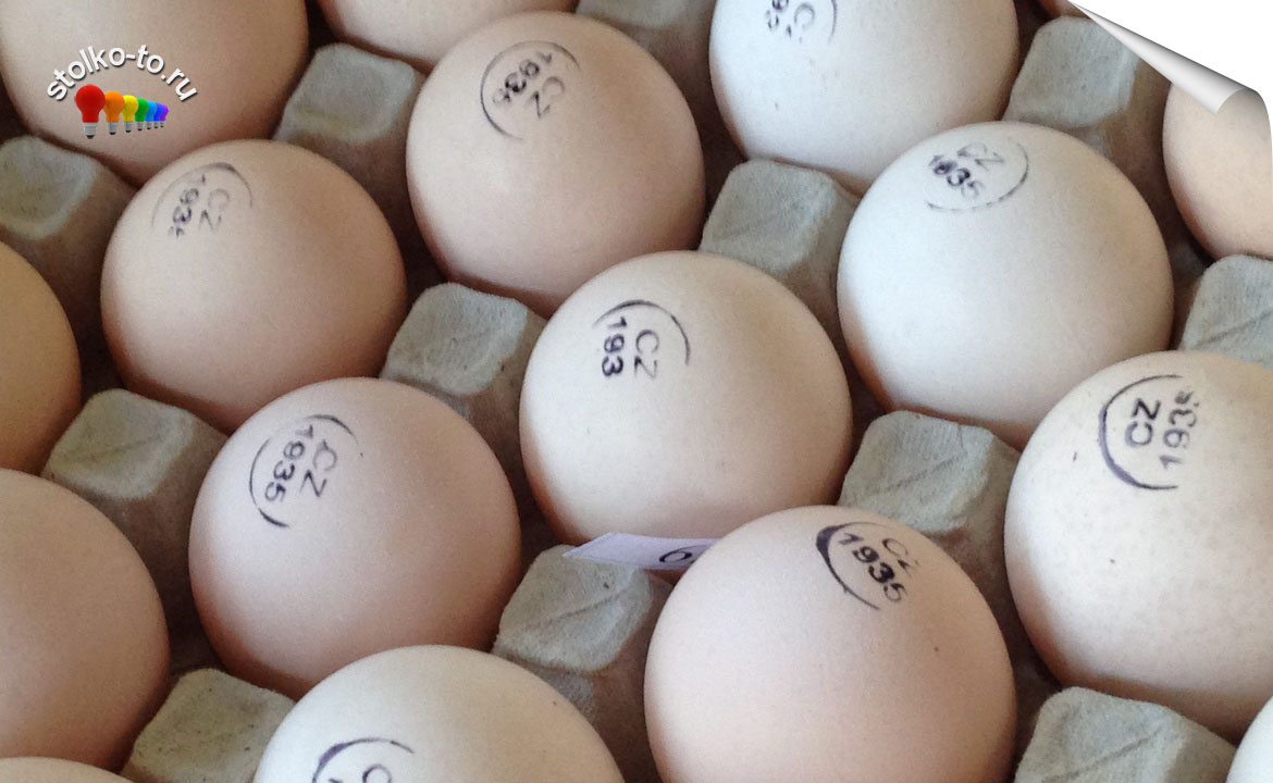 Сколько можно есть яиц в день