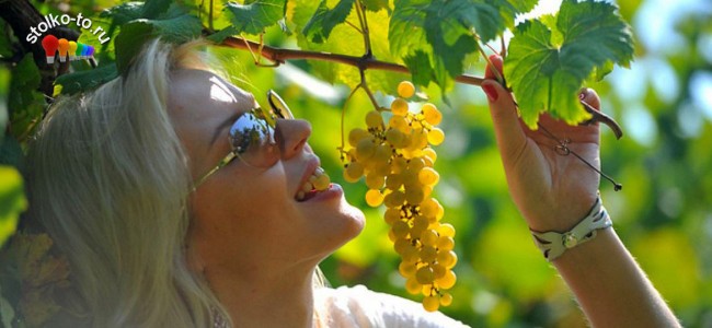 Насколько полезен виноград